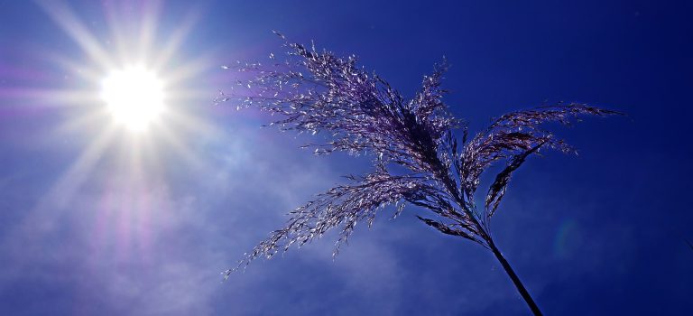 Comment protéger vos salariés lors d’épisodes de canicule canicule